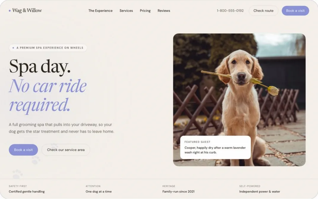 Wag and Willow, a mobile grooming website designed by Ollie