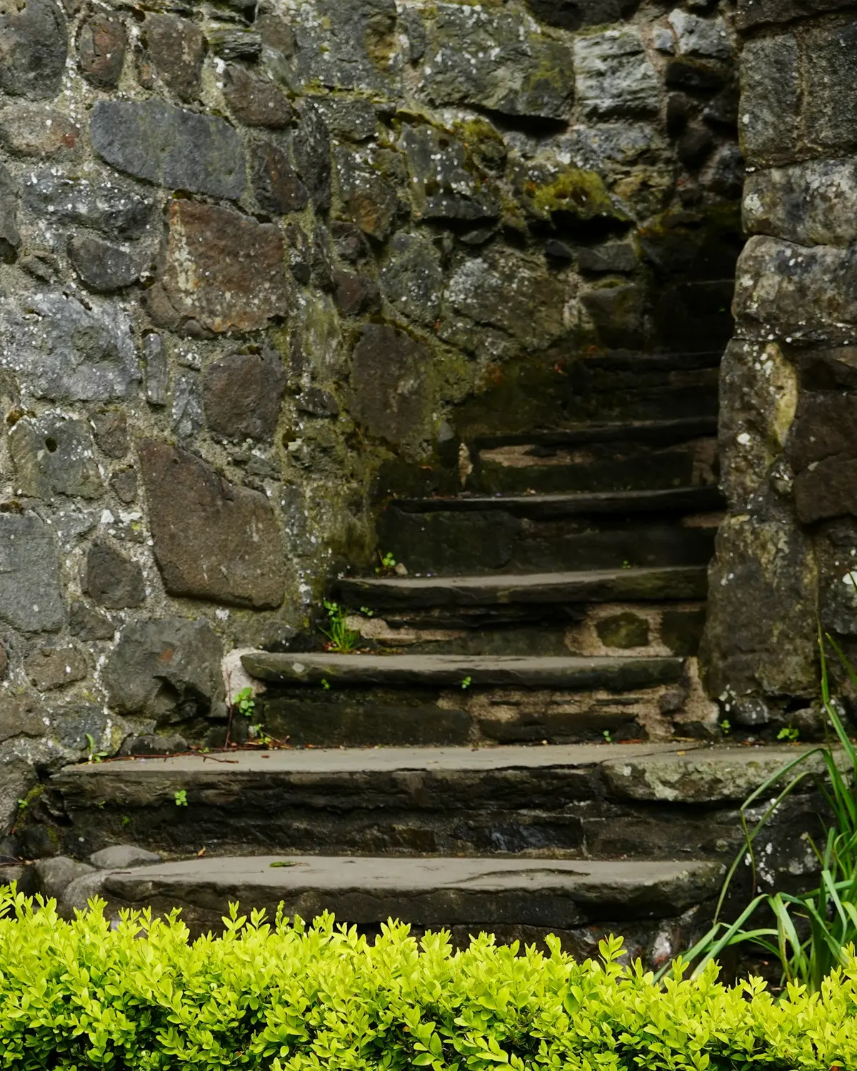 Stone steps climbing beside an old garden wall